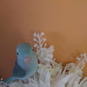 Meet your Posher, Gloria